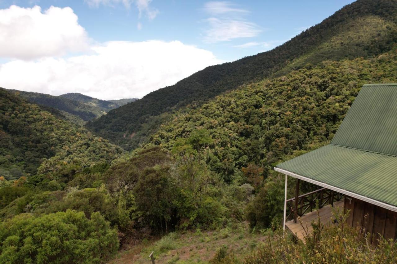 Quetzal Valley Cabins San Gerardo de Dota Buitenkant foto