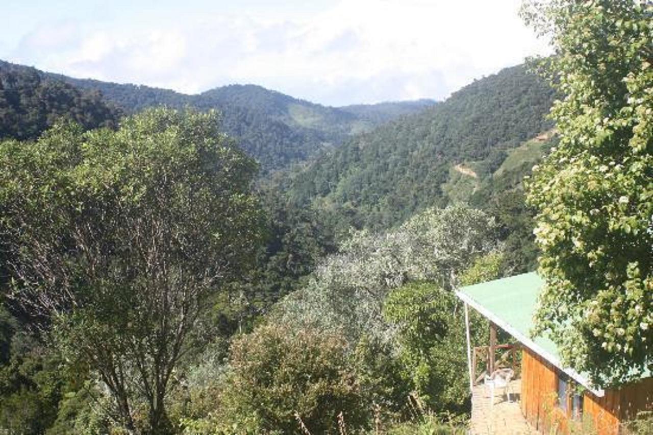 Quetzal Valley Cabins San Gerardo de Dota Buitenkant foto