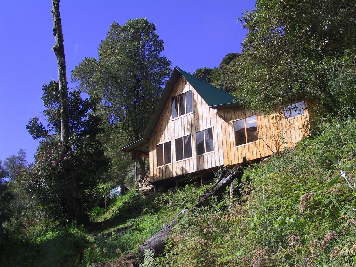 Quetzal Valley Cabins San Gerardo de Dota Buitenkant foto