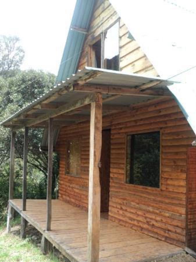 Quetzal Valley Cabins San Gerardo de Dota Buitenkant foto