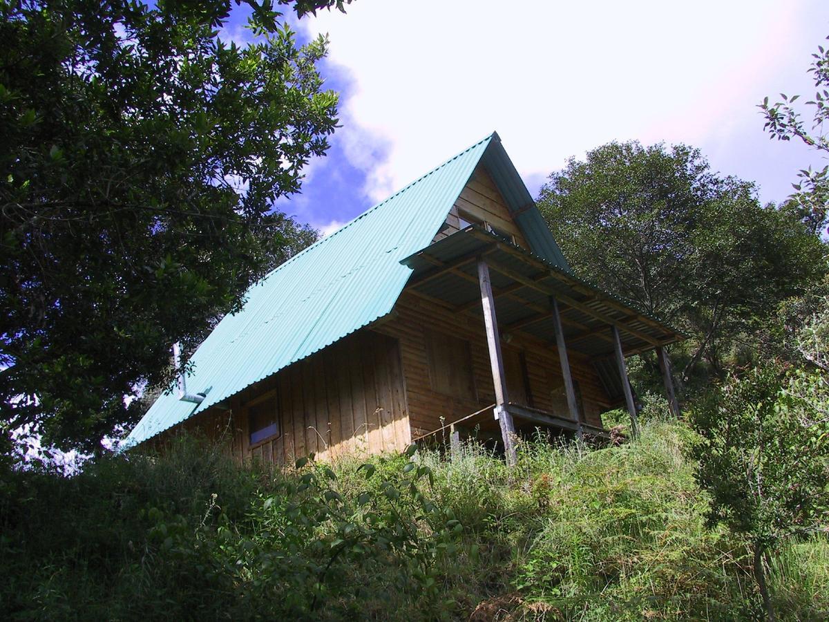 Quetzal Valley Cabins San Gerardo de Dota Buitenkant foto