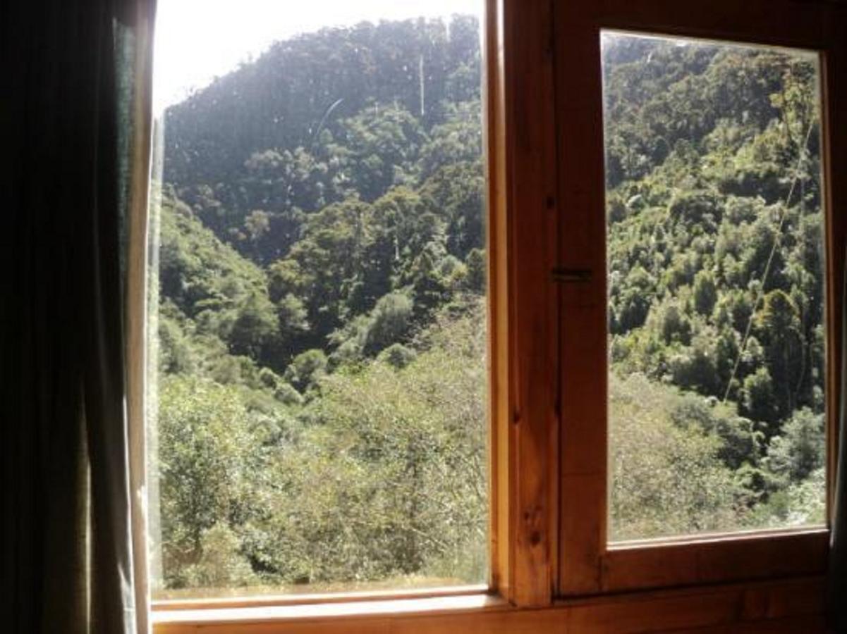 Quetzal Valley Cabins San Gerardo de Dota Buitenkant foto