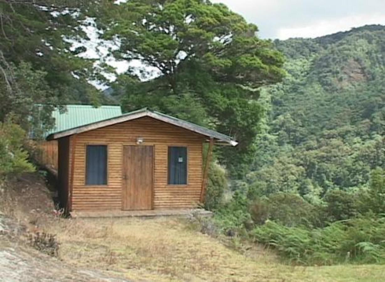 Quetzal Valley Cabins San Gerardo de Dota Buitenkant foto