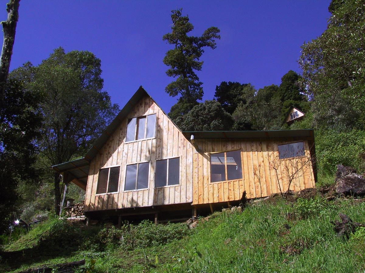 Quetzal Valley Cabins San Gerardo de Dota Buitenkant foto