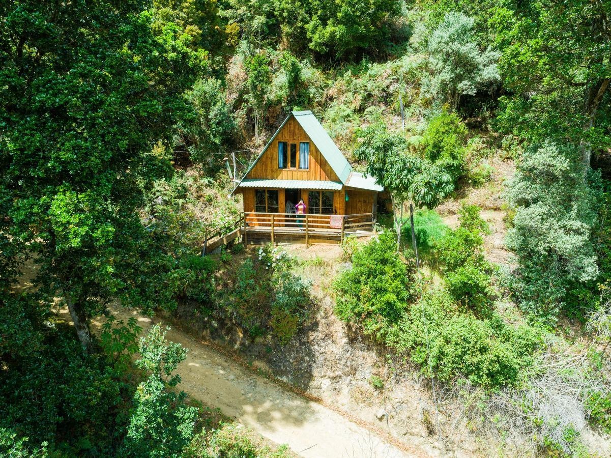 Quetzal Valley Cabins San Gerardo de Dota Buitenkant foto